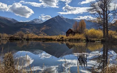 20 Gap Year Work Ideas To Build Your Resume