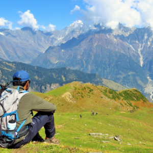 Working gap year before medical school