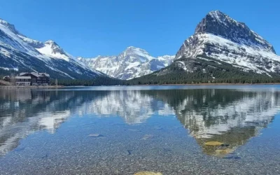 Why American Students at International Schools Take a Gap Year