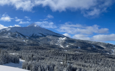 Why Winter Could be the Best Time to Join AdventureEXP on Your Gap Year