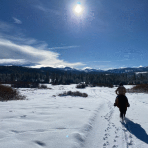 How do I travel affordably as a student while also gaining skills and having fun?