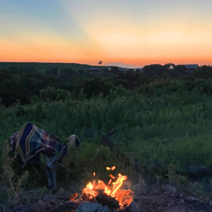 Feeling burned out after college? Learn why more students are taking a gap year before grad school and how structured travel programs can help you reset and refocus.