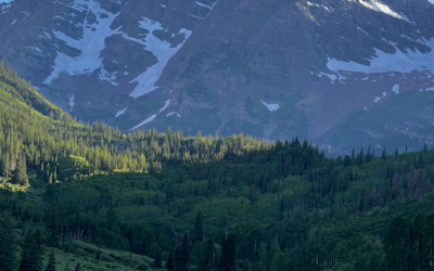 Sustainable Travel: Making Your Gap Year Eco-Friendly