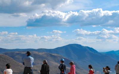 Is College Still Worth It? Why More Young Adults Are Choosing Paid Travel Programs Instead