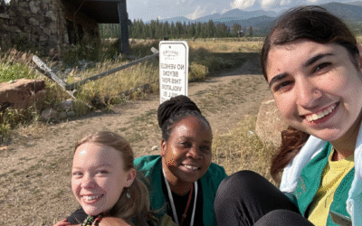 How to Manage Student Loans During Your Gap Year
