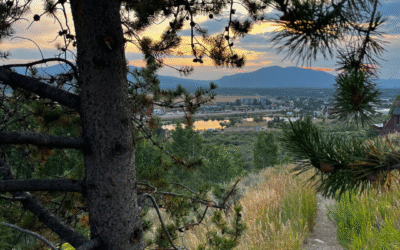 What Is a Structured Gap Year and Why Should You Take One?