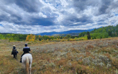 How to Use Your Gap Year Experience in Your Law School Essays