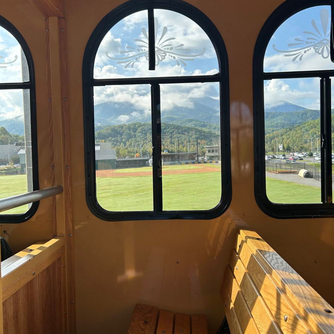 Breaking the Myth: Gap Years Aren’t Just for the Wealthy Group of students working and laughing together during a gap year program in a scenic mountain town.