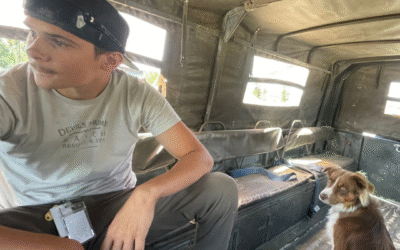 How a Paid Gap Year Helps Your Teen Build Independence (Without Wasting Time or Money)