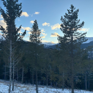 You Don’t Need to Have It All Figured Out: Why Travel Is the Best First Step for Young Adults Young adults exploring a new destination together during a structured travel and work experience designed to build confidence and independence.