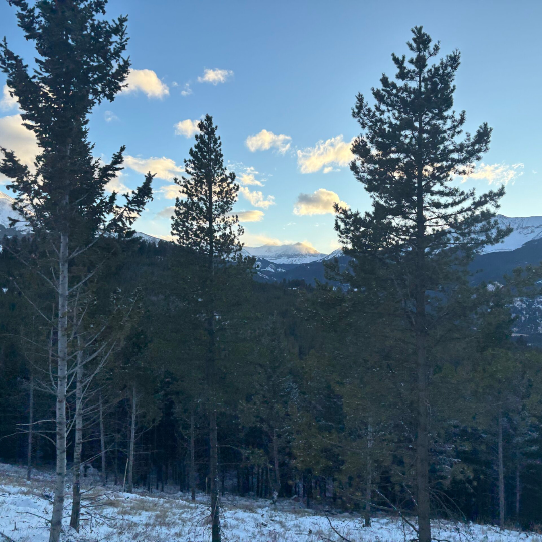You Don’t Need to Have It All Figured Out: Why Travel Helps Young Adults Find Clarity Young adults exploring a new destination together during a structured travel and work experience designed to build confidence and independence.