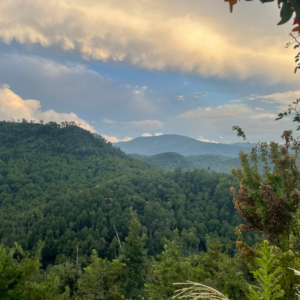 Young adult reflecting on career direction while considering education and work opportunities in an AI-driven world.
