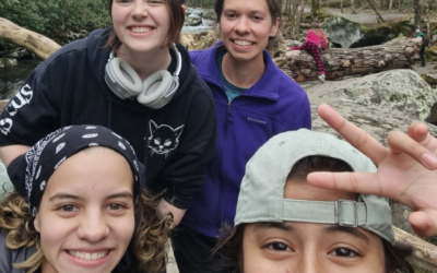 Travel and Work Programs vs Unpaid Internships: Which Actually Prepares You for the Real World?